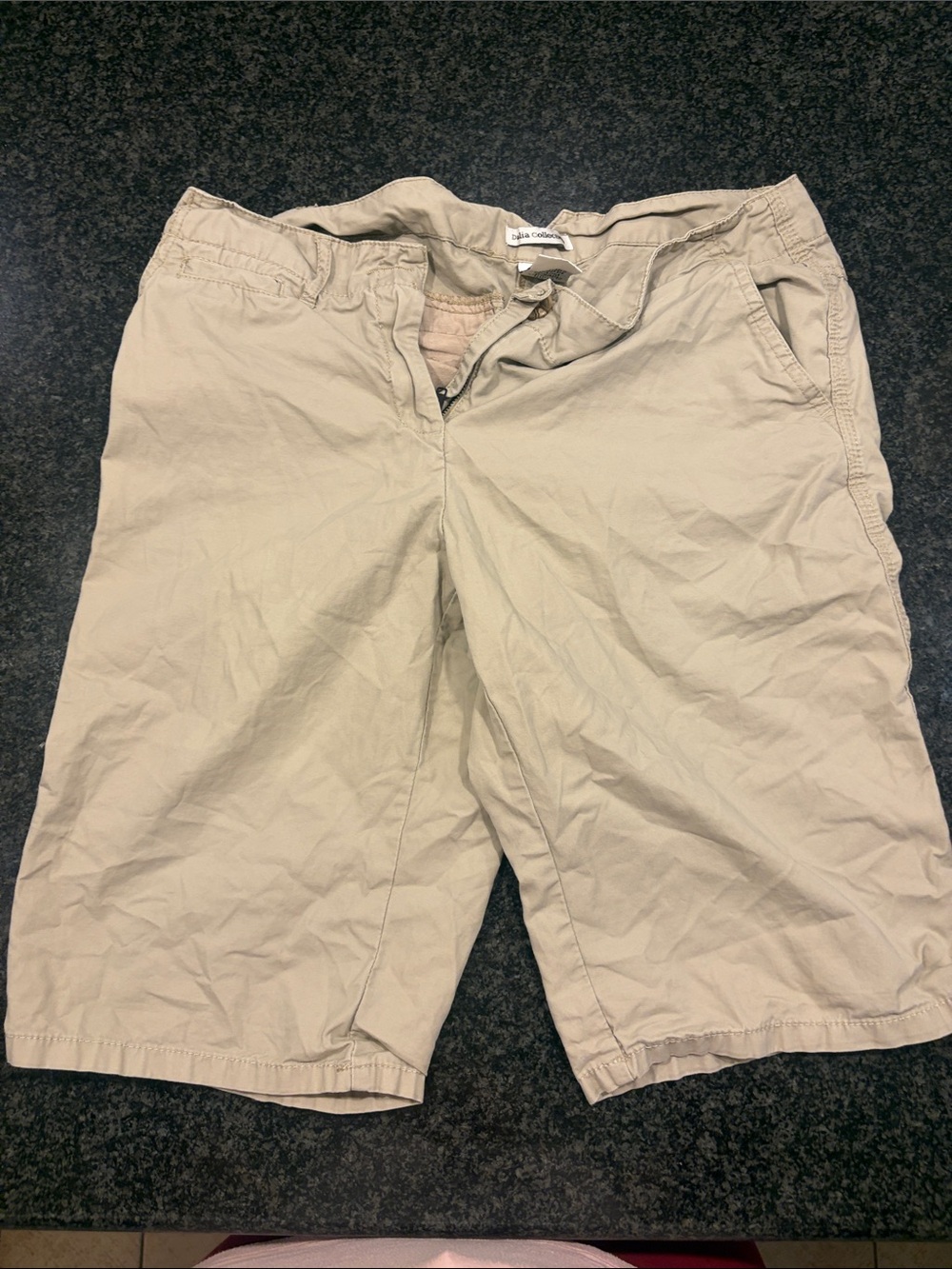 Dalia Women's Flat Front Shorts in Tan